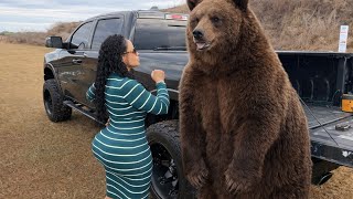 Download Lagu Top 2 Glocks for Hiking Protection MP3