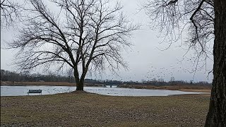 South Beloit Municipal Park (South Beloit, Illinois)