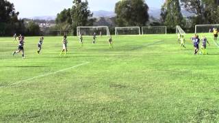 2014 GU11 CFC vs Freedom