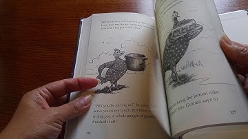 All About Reading Level 4 Readers