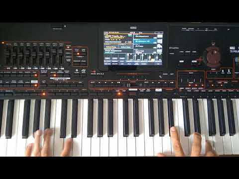 Danekoo1 - Italo