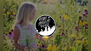 Download Lagu Man Delorean - Cute Instrumental MP3