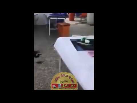 مستشفى الحلة