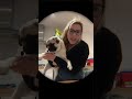Mr Peanut is rocking it 💖🐶 #puppydance #puppytiktok #pug #pugsoftiktok #puglife #mypuppy #viral