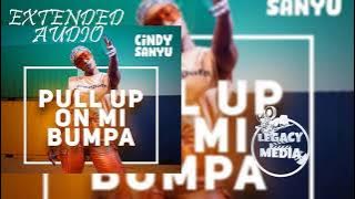 Cindy Sanyu Extended Audio Pull Up On Mi Bumpa