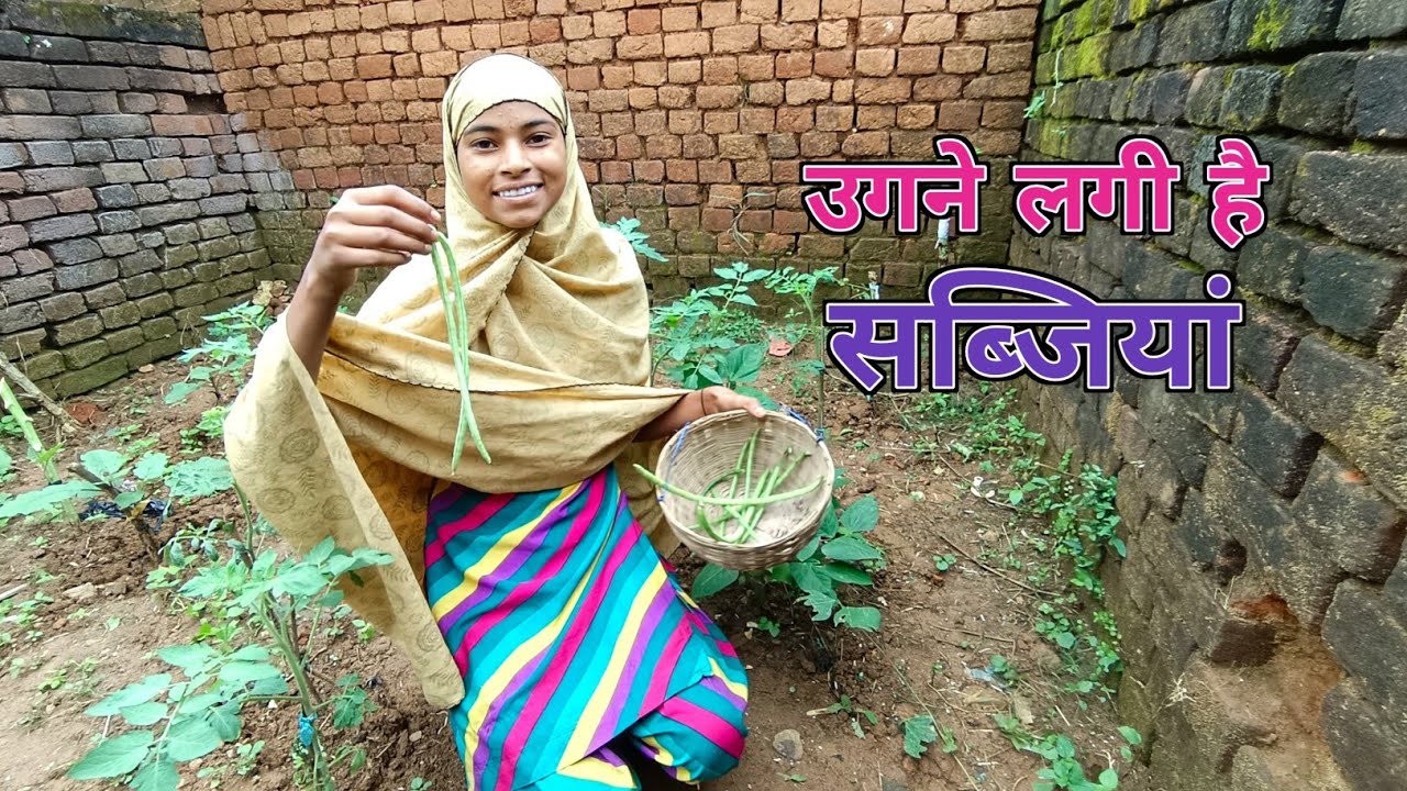 सब्जियाँ उगने लगीं || vegetables started growing ☺️