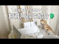 【飼育用品】爬虫類女子が愛用する飼育用品ご紹介🧤