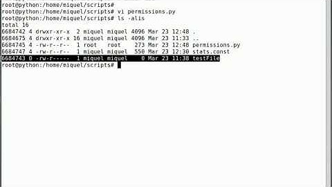 File permissions in Python. Using read permissions as example