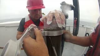 Mercury Through the Fog: Transport from Sea to Land