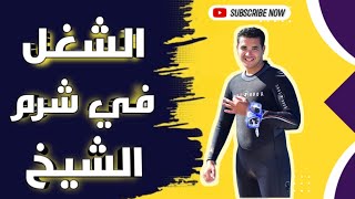 شغل مناسب جدا في #شرم_الشيخ/ لو بتدرس وعايز شغل في #شرم_الشيخ