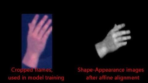 Affine Alignment of the Training Set for Handshape Model (Roussos et al., JMLR sumbission 2012)