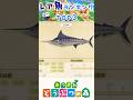 【あつ森】レア魚ランキングTOP3 #あつまれどうぶつの森 #どうぶつの森 #どう森 #あつ森 #animalcrossing