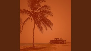 Understated Backdrops for Daily Commutes