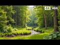 Gentle, relaxing music helps reduce stress, stop overthinking, and support recovery
