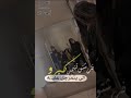 حالات واتس اب احنا زلم جد انجد