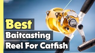 ✅Top 5: Best Baitcasting Reel For Catfish In 2025 🎣 [ Best Catfish Reels For The Money ]