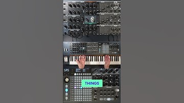 Polybrute: 3 LFOs, Delays & Envelope Shaping