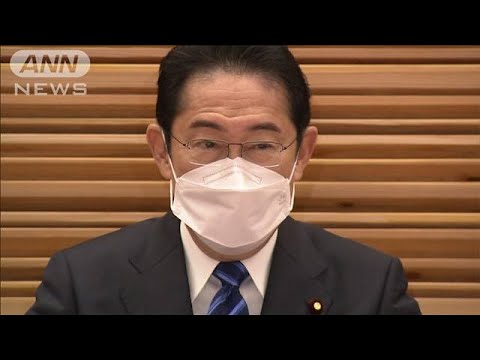 岸田総理、13日に公務復帰予定　あす副鼻腔炎の手術(2023年2月10日)