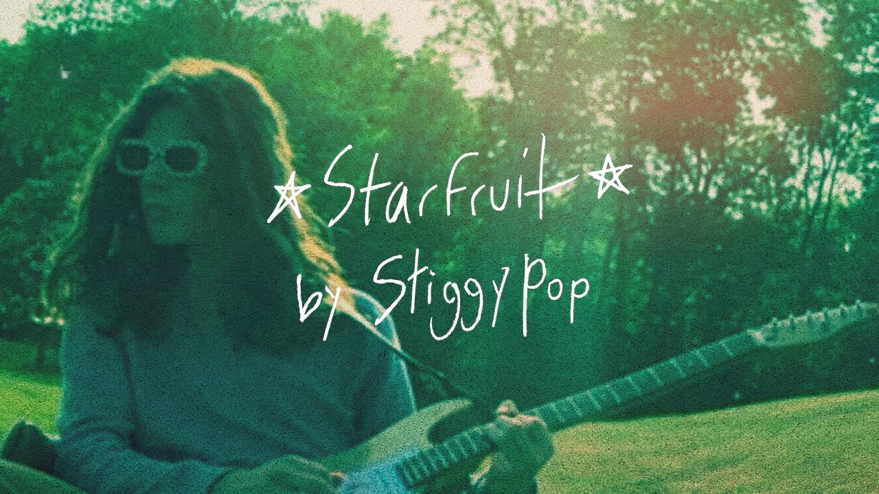 Stiggy Pop - Starfruit