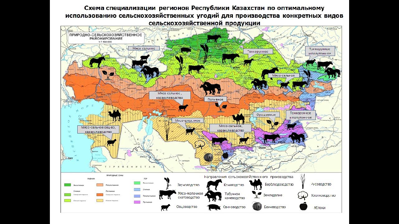 Местоположение хозяйства. Карта сельского хозяйства. Карта сельского хозяйства России. Главные сельскохозяйственные районы Казахстана. Сельскохозяйственная карта Казахстана.