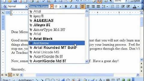 Word 2003 Tutorial Formatting Text Microsoft Training Lesson 5.1