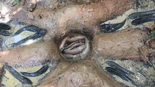 Video New Fishing  2017   - Amazing Deep Hole Fishing Trap make by smart boy catch a lot of Fish