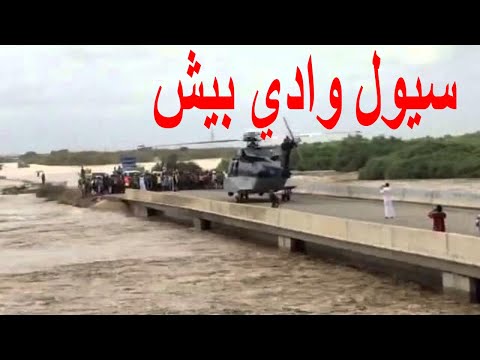 سيول وادي بيش جازان وادي بيش