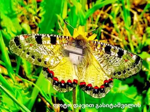 ჩემი ჯგუფი ფეისში! შემოგვიერთდით!(ლინკი კომენტებშია)