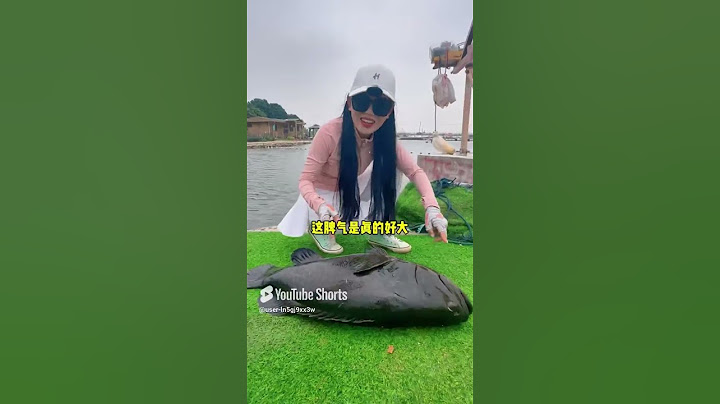 美女用小魚頭釣百公斤龍躉！ #shorts #釣魚 #龍躉 #巨物