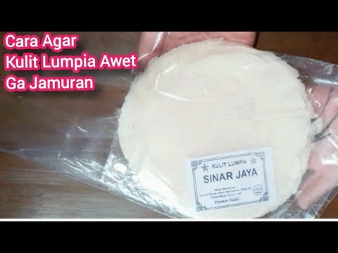 Kulit Lumpia Berjamur