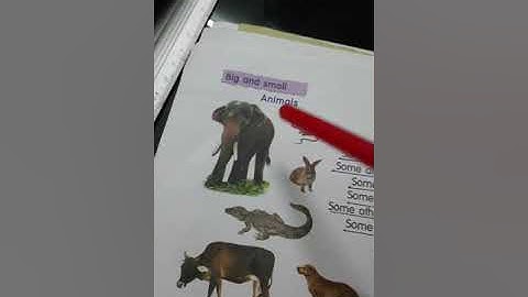 Class 2 Chapter 4 The Wonderful World of Animals  (part 1)