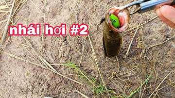 Câu Cá Lóc Lure Cá Lóc Bằng Nhái Hơi F35 Lưỡi Độ Titan .1 Phát Lên Cá| Đại Ngáo Vlog 2 #13