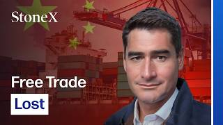 Why Chinas Industrial Policy Owes a Debt to 1800s Germany