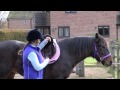 How to saddle your horse | PONY Magazine