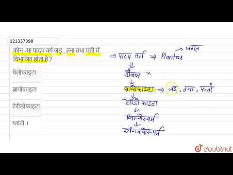 वीडियो: पौधों के किस समूह में पत्तियां और तना होता है लेकिन असली जड़ें नहीं होती हैं?