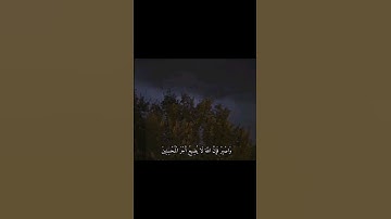 سورة هود القارئ اسلام صبحي #قران_كريم #اجر_لي_ولك #اسلام_صبحي