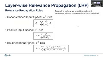 XAI Tutorial 2023 | Input attribution methods | Seongun Kim