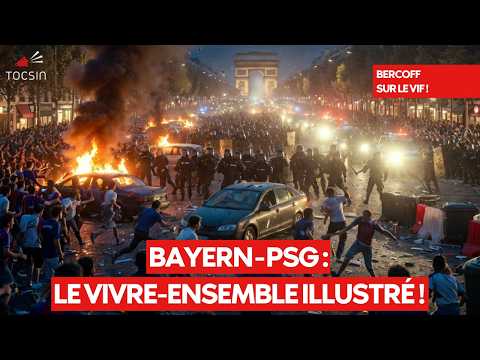 Violence in Paris: Yann Arthus-Bertrand's "living together" exhibition vandalized