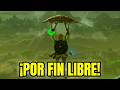 ¡ADIÓS MESETA! 🪂 El Secreto del Rey… | Zelda BOTW