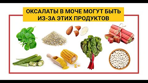 Какие продукты питания повышают оксалаты в моче ?