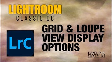 Grid and Loupe View Display Options