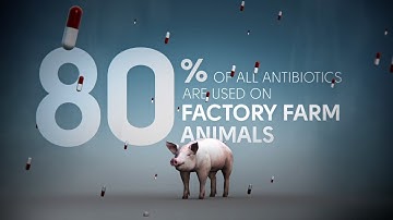 Fix Food - Fix Antibiotics - Meat Without Drugs