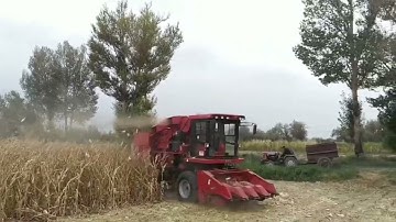 Yongmeng 4EX harvest all your corns