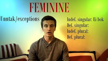 Norwegian Grammar: Norwegian Nouns