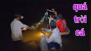 Giăng Lưới Cá Trên Ruộng Mùa Nước Nổi , Cá Dính Lưới Gỡ Mỏi Tay Luôn # SĂN BẮT ĐỒNG THÁP #