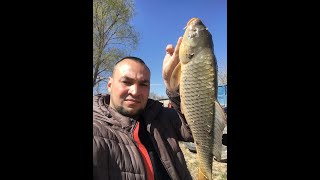 Ловля карпа в своем пруду спустя год весной 2020! /Carp fishing in spring 2020!