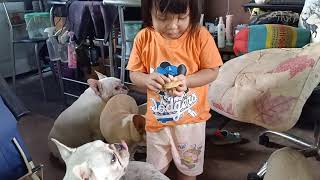 เเจกขนมเด็ก หมา10ตัว