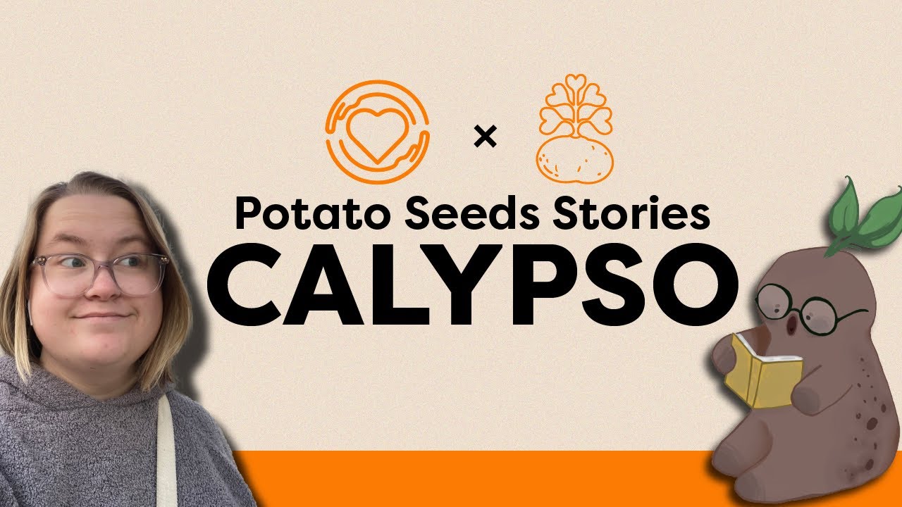 Potato Seeds Story: Calypso