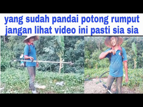 Video: Rumput yang baru dipotong akan membantu melawan stres