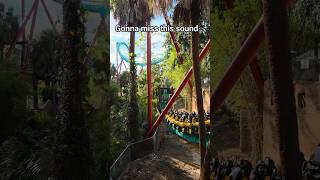 RIP Kumba. Gonna miss the sound of that roar
BREAKING NEWS: Busch Gardens Tampa confirms that Kumba will close on August 2, 2026. RIP Kumba. Gonna miss the sound of that roar